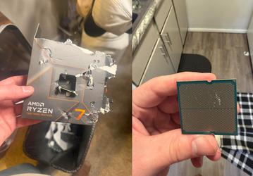 Это самый необычный случай повреждения Ryzen 7 7700X: процессор погрызла собака