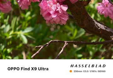 Камеры Oppo Find X9 Ultra, Samsung Galaxy S26 Ultra, Vivo X300 Ultra и Xiaomi 17 Ultra сравнили между собой