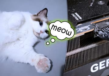 Кот владельца GeForce RTX 4090 «позвал» хозяина из туалета, когда карта загорелась
