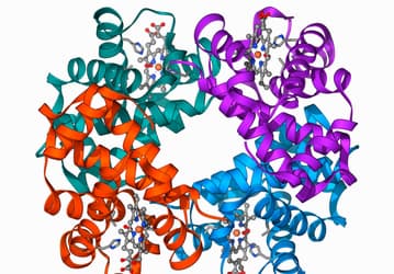 Новая CRISPR-терапия снизила зависимость от переливаний при бета-талассемии