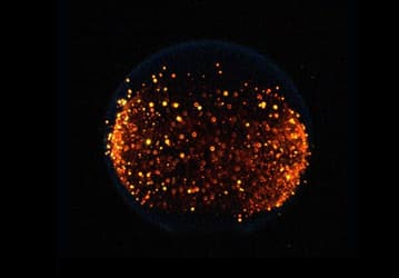 NASA изучит распространение огня на Луне