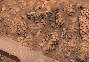 Марсоход NASA Curiosity обнаружил поверхность, похожую на «чешую космического рептилоида»