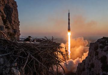 Соколы пережили запуск «Союза-5»: гнездо на Байконуре осталось целым