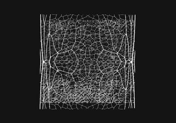 Anthropic расширяет Project Glasswing после обнаружения более 10 тысяч критических уязвимостей с помощью ИИ