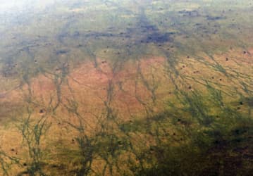 ЮНЕСКО расширит список объектов «Всемирного наследия, находящегося под угрозой» из-за войн и изменения климата
