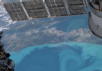 NASA показало бирюзовое цветение планктона в Чёрном море