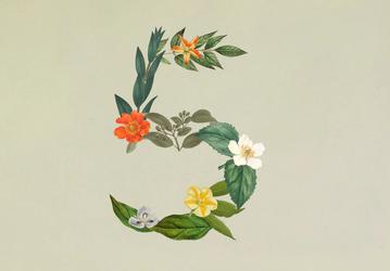 Anthropic выпустила Claude Sonnet 5: новая модель почти догнала Opus 4.8, сохранив низкую цену