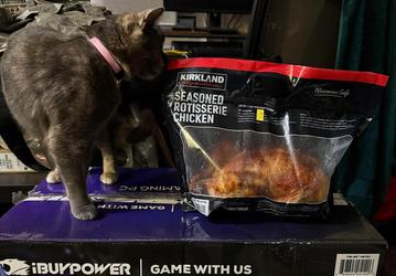 Настоящая удача: американец пошел за продуктами, а купил компьютер Ryzen 7 9800X3D, GeForce RTX 5070, 32 ГБ ОЗУ и СЖО чуть дороже 1000 долларов