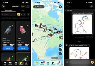 Голубиная почта 2.0: мессенджер Roost для «медленного общения», в котором сообщения доставляют птицы, неожиданно стал хитом
