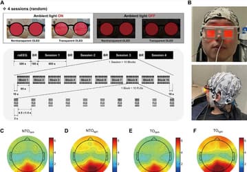 Прозрачные OLED-очки синхронизировали гамма-ритмы мозга — технологию готовят к испытаниям при когнитивных нарушениях