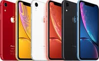 iPhone XR научили делать портретные снимки котиков 