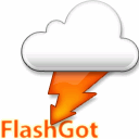 Интернет и сети: FlashGot v.1.2.1.22