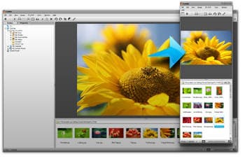 Графика: Firegraphic v.10.5.10510
