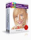 Создаем фотоколлажи с Artensoft Photo Collage Maker 