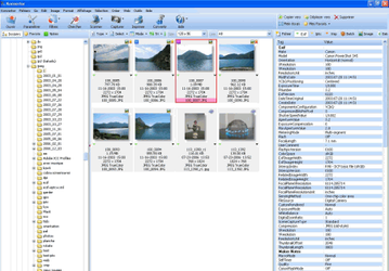 Мультимедиа: Konvertor v.4.03 Build 1