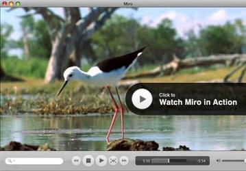Медиаплееры: Miro v.3.5