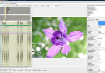 Графика: WildBit Viewer v.5.8