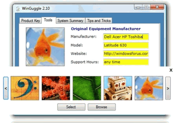 WinGuggle v.2.4 - бесплатная утилита для просмотра серийных кодов продуктов Microsoft