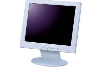 17" LCD monitor from GREENHOUSE