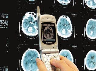 Мультимедийные телефоны 2,5G и 3G оказались привлекательны для корпоративного рынка