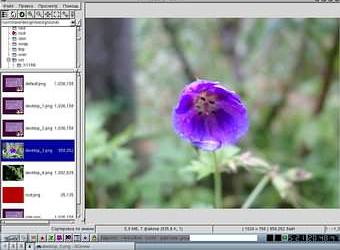 Linux: новая версия gqview 1.2.1