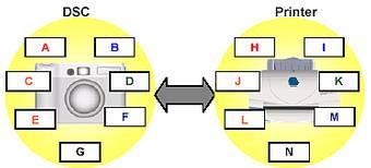 CIPA PictBridge: between digital cameras and printers