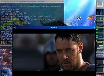 Linux:: MPlayer 0.90-rc4