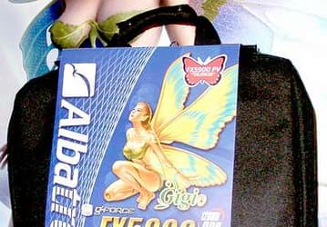 Albatron introduces 256Mb Gigi GeForce FX5900 Turbo graphics card