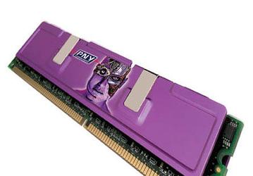 PNY Technologies offers 512Mb Verto Hi Speed PC3500 DDR