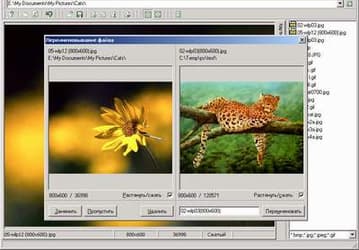 Утилиты: qPicSort v.1.02b