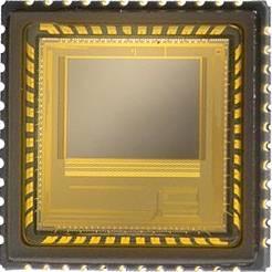 Foveon F19 — 4,5 Мпикс X3 матрица, новые сроки выпуска Polaroid x530