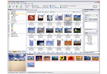 Графика: ACDSee v.7.0