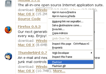 Интернет и сети: FlashGot v.0.1.3