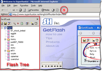 Интернет и сети: GetFlash v.2.5