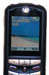 C698p и C381p: два новых Push-to-Talk телефона Motorola