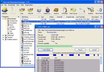 Диспетчеры закачек: Internet Download Manager v.5.04 Build 6