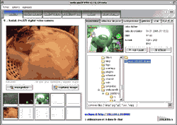 Мультимедиа: WebcamXP Pro v.2.25.278