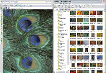 Графика: Ai Picture Explorer v.8.3