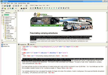 Редакторы: Alleycode HTML Editor v.2.21