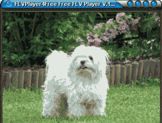 Медиаплееры: FlvPlayer4Free v.2.2.0.0