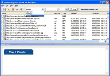 Интернет и сети: Index.dat Analyzer v.2.0