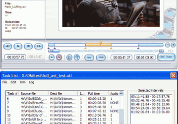 Мультимедиа: SolveigMM Video Splitter v.2.0.711.09 Beta