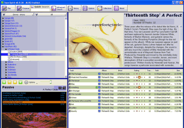 Мультимедиа: Teen Spirit v.0.91c