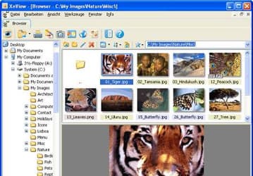 Графика: XnView v.1.90