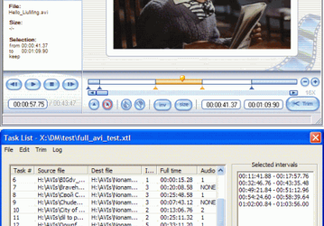 Мультимедиа: SolveigMM Video Splitter v.2.0