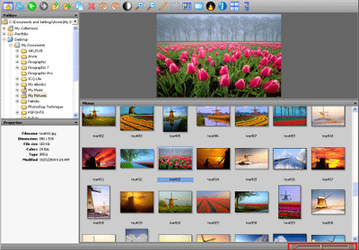Графика: Firegraphic XP v.10.0.0.1001