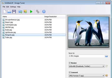 Графика: Image Tuner v.1.3