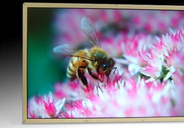 Samsung Creates First LCD with DisplayPort Video Interface