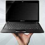 Сборщики нетбуков с большими экранами отдают предпочтение AMD и VIA