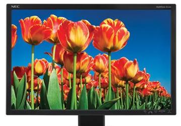 NEC оснащает «зеленый» 22-дюймовый монитор MultiSync E222W таймером выключения
